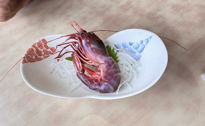 国産最高峰の高級エビ『ブドウエビ』は飛び抜けた美味しさ　昔は廃棄されていた？