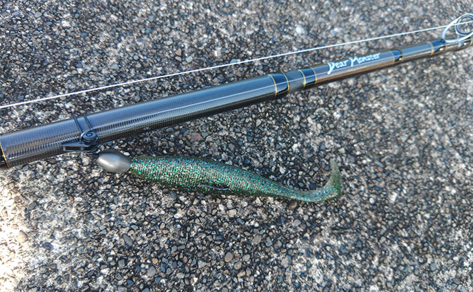 「漁港で高級魚クエが釣れる？」 エサ・ルアー釣りどちらでもクエキャッチに成功【和歌山】