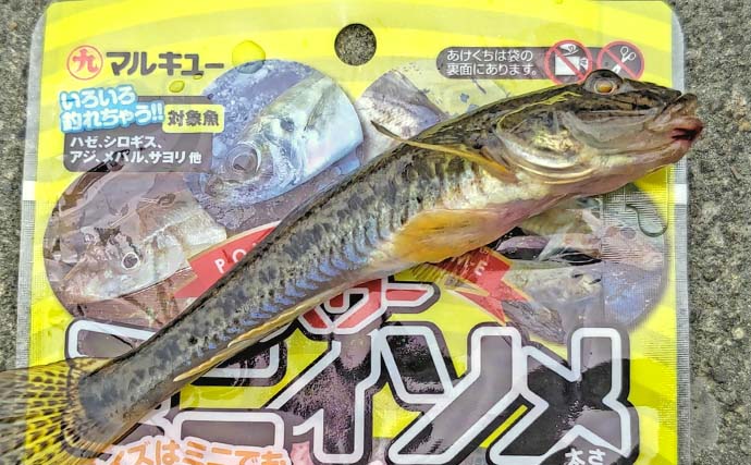 「初めてでも安心！」子供と楽しむハゼ釣り完全ガイド【道具・場所・時期を徹底解説】