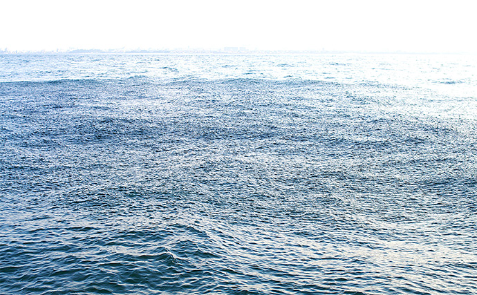 明石沖ボートジギングでハマチ3匹手中【兵庫】ジグの色よりも動きで食わす作戦が成功