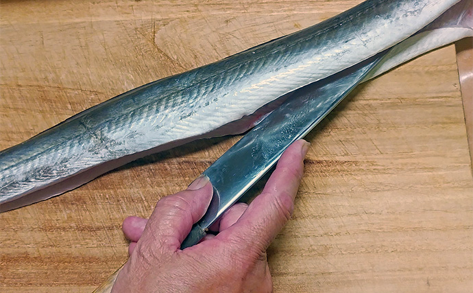 釣魚で作る「コラーゲンたっぷり」レシピ：大ハモの梅肉＆ワサビ　霜降りにして