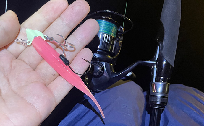 【陸っぱりルアータチウオ釣り】初心者向け攻略法　マヅメ時はワインドとジグの使い分けが肝！