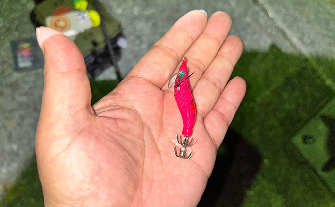 ヒイカエギングに初挑戦【熊本・上天草】群れに当たってまさかの連発！