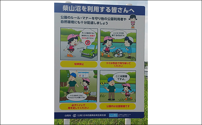 柴山沼でのブラックバス釣りで子バス7匹【埼玉・白岡】シェイクしながらの横引きで連発