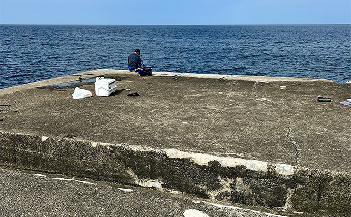 「ジグサビキしか勝たん！」堤防ライトショアジギングでショゴにツバス【福井・茂原人工海水浴場】