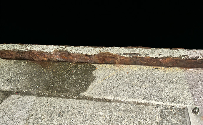 ヒイカエギングに初挑戦【熊本・上天草】群れに当たってまさかの連発！