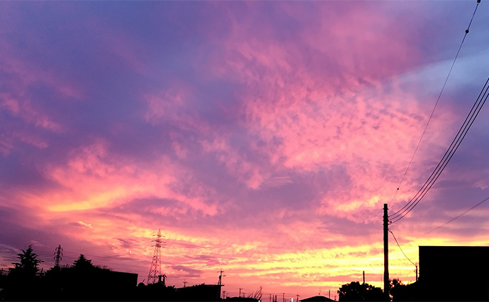 良型ボラがルアーに好反応！【千葉・村田川】派手なカラー＆トリッキーなアクションが吉