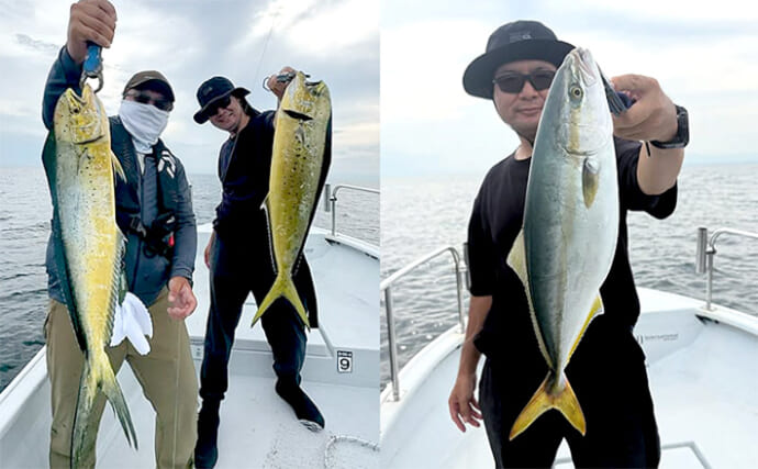 【沖釣りルアー釣果速報】キャスティング便でサワラ痛恨バラシもツバス＆シイラがガツンとヒット（愛知）