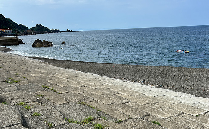 「ジグサビキしか勝たん！」堤防ライトショアジギングでショゴにツバス【福井・茂原人工海水浴場】