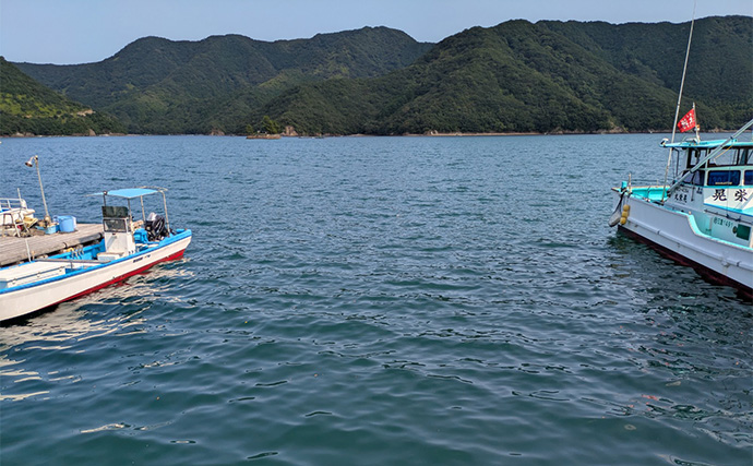 漁港ライトソルトゲームでオオモンハタ祭り！【三重・南伊勢】カンモンハタ＆ヤミハタも登場