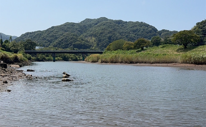 伊豆ライトゲームでメッキアジ＆クロダイをキャッチ！【静岡】チニングではコチがヒット