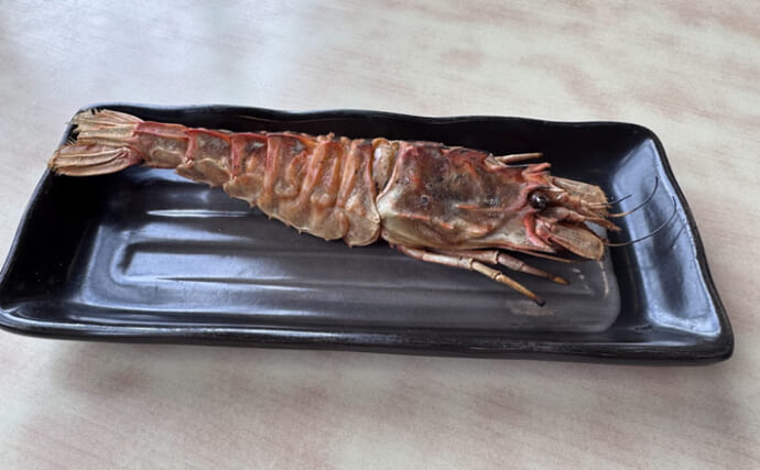 知る人ぞ知る美味なエビ『ガサエビ』　正式名は「大王鬼神蝦」とイカツめ