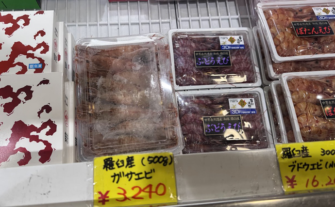 知る人ぞ知る美味なエビ『ガサエビ』　正式名は「大王鬼神蝦」とイカツめ