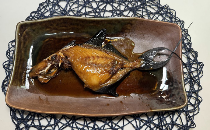 怖い顔で人間相手にも遠慮なく襲いかかってくるカワハギの仲間が話題