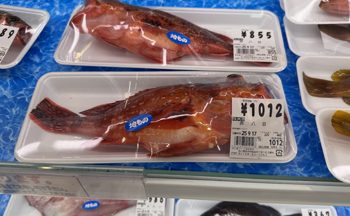 北陸の鮮魚店に並ぶ「八目（はちめ）」とは？　1魚種ではなくメバルやカサゴ類の総称だった