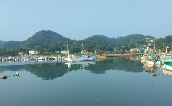 上総湊港のハゼ釣りで本命7匹【千葉】ジャリメエサのミャク釣りでキャッチ
