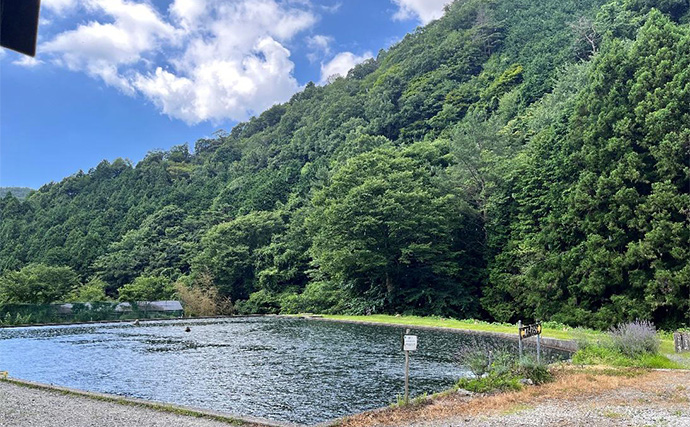 千早川マス釣り場のエリアトラウトでニジマス26匹手中【大阪】表層攻略＆平日放流で連発