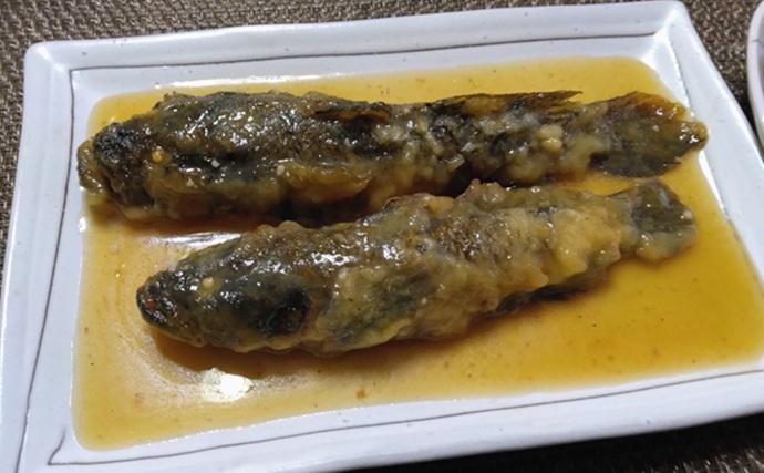 鶴見川でのハゼ釣りで18cm級頭に良型ウロハゼ29匹【横浜】マハゼは混じらず