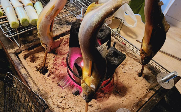 「アユ（鮎）」はなぜスイカの匂いがするの？　エサの藻類に含まれる成分が原因