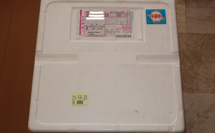 海のギャング＜ウツボ＞を自宅で飼育してみた　水槽のセットアップ＆エサやりのコツとは？