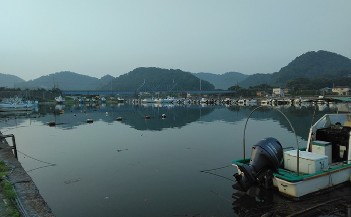 上総湊港のハゼ釣りで本命7匹【千葉】ジャリメエサのミャク釣りでキャッチ