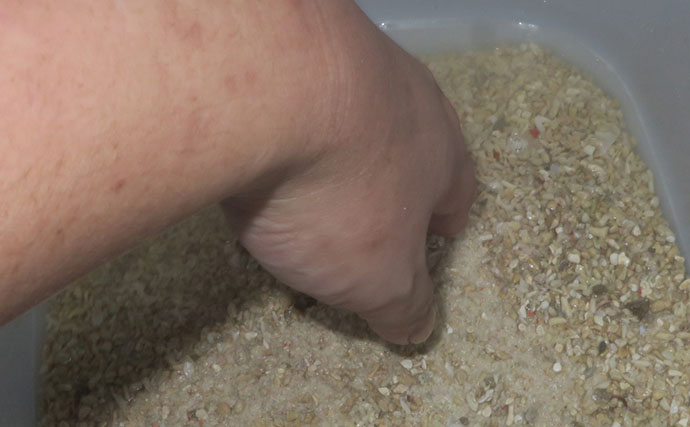 海のギャング＜ウツボ＞を自宅で飼育してみた　水槽のセットアップ＆エサやりのコツとは？