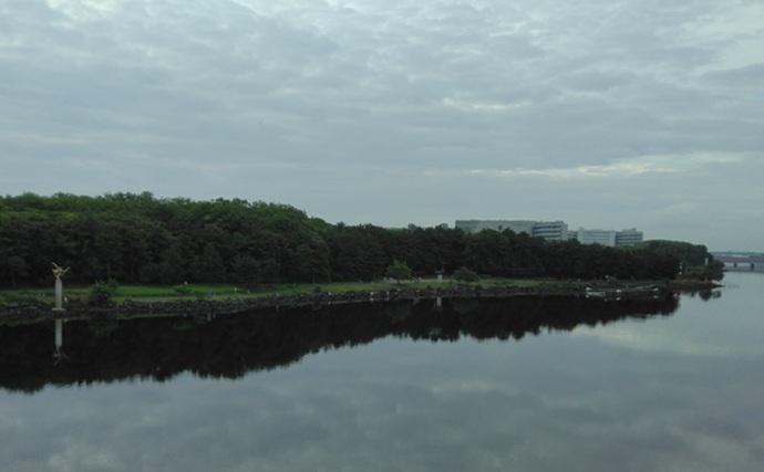 東京湾奥の【日影がある！】ハゼ釣りポイント6選　熱中症を避けて釣りを楽しもう