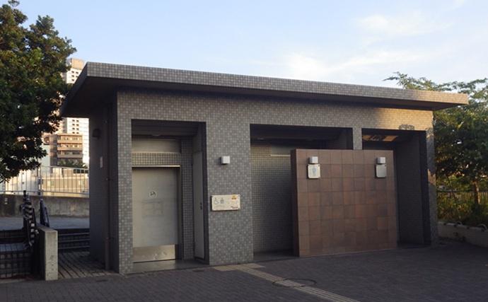 鶴見川でのハゼ釣りで18cm級頭に良型ウロハゼ29匹【横浜】マハゼは混じらず