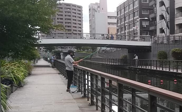 東京湾奥の【日影がある！】ハゼ釣りポイント6選　熱中症を避けて釣りを楽しもう