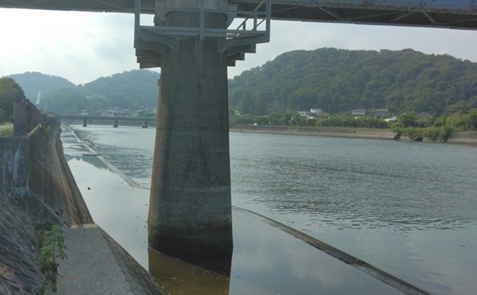 上総湊港のハゼ釣りで本命7匹【千葉】ジャリメエサのミャク釣りでキャッチ