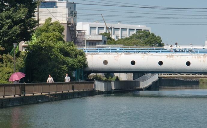 東京湾奥の【日影がある！】ハゼ釣りポイント6選　熱中症を避けて釣りを楽しもう