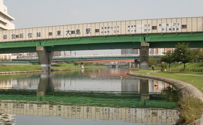 東京湾奥の【日影がある！】ハゼ釣りポイント6選　熱中症を避けて釣りを楽しもう