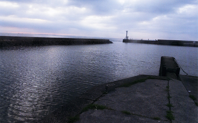 若松漁港のちょい投げ釣りでハゼ48匹キャッチ【三重】メゴチも加えて天ぷら食べ比べ