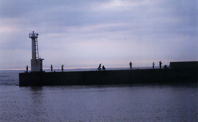 若松漁港のちょい投げ釣りでハゼ48匹キャッチ【三重】メゴチも加えて天ぷら食べ比べ