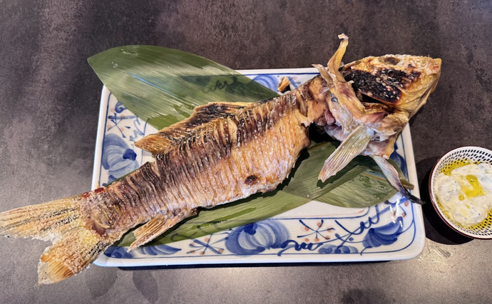 「錦鯉は観るもの？それとも食べるもの？」 気になる食味は泥臭さ対策次第か　