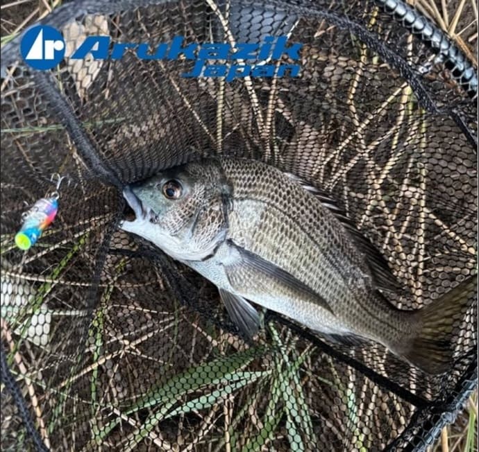 山梨県・山中湖でワカサギ釣り解禁！10cm級交え143匹【全国の釣果速報4選】