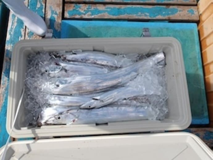 ＜秋のハゼ釣り＞各地で順調！福岡・遠賀川＆西川河口で20cm超の良型も【全国の釣果速報6選】