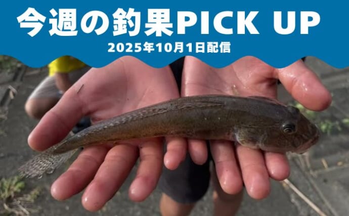 ＜秋のハゼ釣り＞各地で順調！福岡・遠賀川＆西川河口で20cm超の良型も【全国の釣果速報6選】