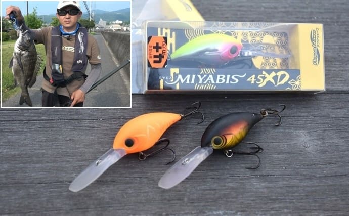 流行のチヌクランクゲームで脅威的実績？　最大潜航深度4m超のルアー登場【今週のおすすめ釣行アイテム6選】