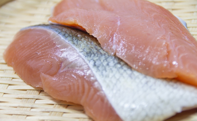 時鮭 プロフィール見てください 時鮭 プロフィール見てください 時鮭 プロフィール見てください