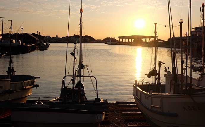 【速報】クロマグロ採捕規制が強化！「上限5トン→３トンへ」　9月から翌年3月まで