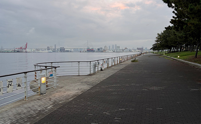 「あとちょっとで大物を逃した・・」その悔しさをなくす【YOZOTAフィッシュグリップ】がAmazonセールでお得に！