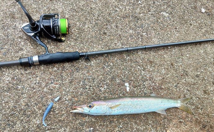 「秋は釣りターゲットがたくさん！」あれもこれも楽しめる【バーサタイルロッドって何？】