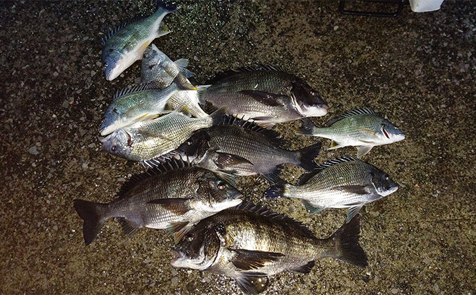 「自動で釣れちゃう針？」速攻全誘導釣法専用ウキ『プログレスチヌ』を紹介