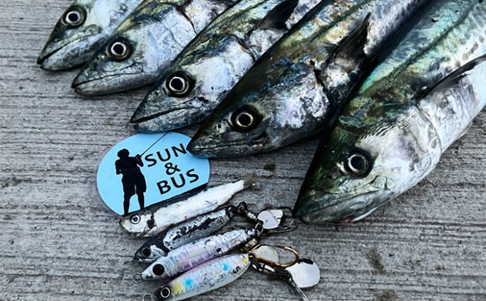 「秋の青物シーズンが本番突入！」大阪南港魚つり園でのショアジギングでサゴシ連発！