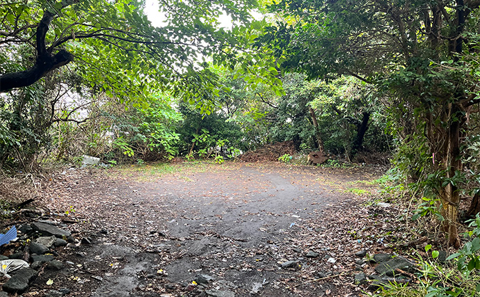 「スマートウォッチの有無で釣果が決まる？」 伊豆大島を１周して磯釣りポイントを探索してみた