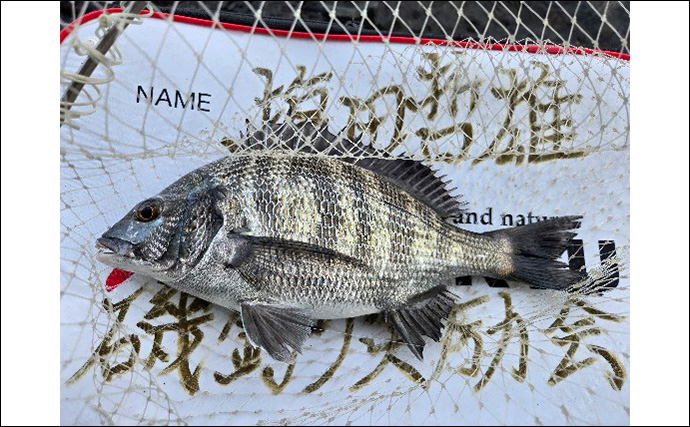 河川でのクロダイフカセ釣りに初挑戦【茨城・大洗】リバーチヌ9匹手中に大満足