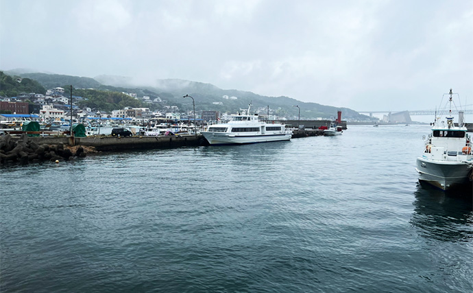 「魚が見えるから昼でも釣れる！」偏光サングラス『Gillsee』で難しいデイアジングを攻略【兵庫・淡路島】