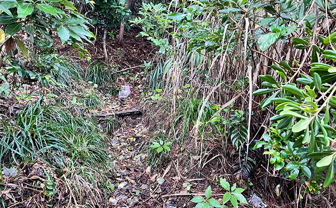 「スマートウォッチの有無で釣果が決まる？」 伊豆大島を１周して磯釣りポイントを探索してみた