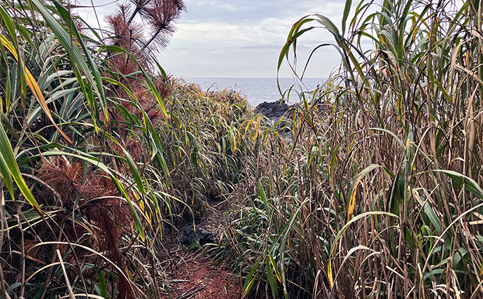 「スマートウォッチの有無で釣果が決まる？」 伊豆大島を１周して磯釣りポイントを探索してみた